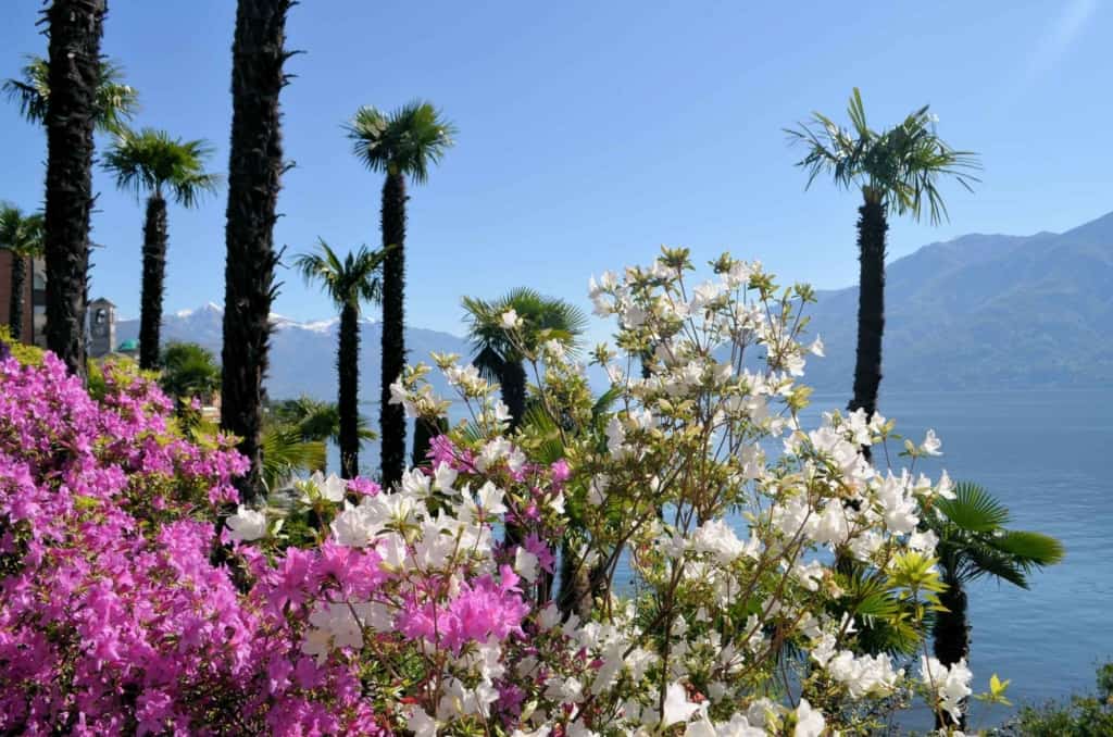 Luxusimmobilien in Brissago zu verkaufen